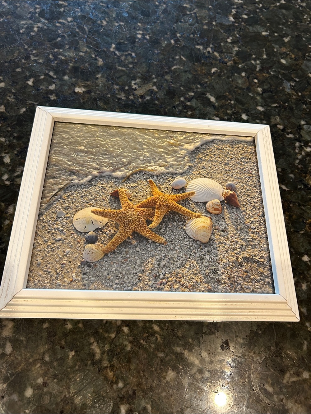 Artisan Beach Starfish Print in Yellow, White, Tan